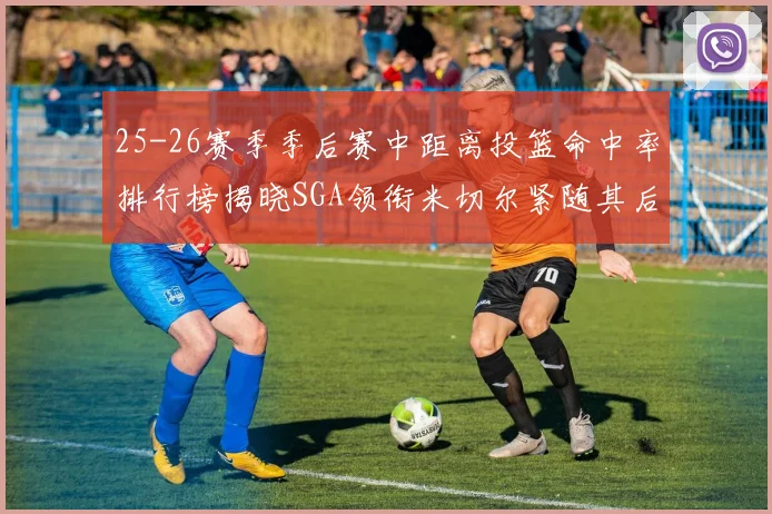 25-26赛季季后赛中距离投篮命中率排行榜揭晓SGA领衔米切尔紧随其后哈登位列第五