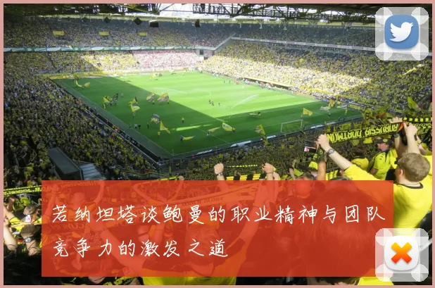 若纳坦塔谈鲍曼的职业精神与团队竞争力的激发之道